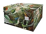 Dutch Design Brand Dekorative Aufbewahrungsboxen mit Deckel – Größe: 38,9 x 31,8 x 21,1 cm – FSC zertifizierter recycelbarer Karton (Druck: Kunst der Natur)