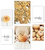 Mia Félice Premium Poster Set » Pumpkin Season « 2x A3 | 4x A4 - Moderne Bilder für das Wohnzimmer und Schlafzimmer - Wandbilder ohne Rahmen - Flur Deko - Dek