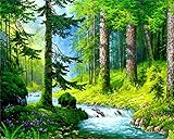 WOWDECOR DIY Malen nach Zahlen für Erwachsene Kinder Mädchen, Wald Grün Bäume Strom Landschaft 40x50cm Vorgedruckt Leinwand-Ölgemälde (ohne Rahmen)