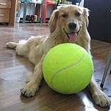Riesentennisball Hund Kaut Spielzeug Outdoor oder im Zimmer zu Hause zum Spielen und Trainieren Das Beste Für Die Gesundheit Eines Hundes Durchmesser 24