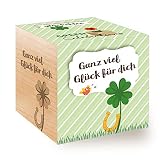 Feel Green 296688 Celebrations Ecocube, Glücksklee, Holzwürfel Mit Lasergravur «Ganz Viel Glück Für Dich», Nachhaltige Geschenkidee, Anzuchtset, M