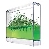 Monsterzeug Gel Gewächshaus für Gewürze, Mini Plantarium für Kräuter, Gewürze selber Pflanzen, Kleines Experimentier-Set - Ökosy