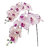 ZHMYENGMING Künstliche Blumen 2 stücke Reale Pressorchidee Stiele Blumen Künstliche Phalaenopsis Niederlassungen 9 Große Blütenblätter 38 Zoll (Color : Orange)