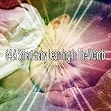 64 A Smart Baby Learning In The Womb
