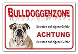 AdriLeo Schild - Vorsicht Englische Bulldogge - Zone - (20x30cm) / Achtung Hund W