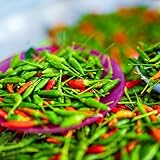 Birds eye Chili 50 g getrocknete Schoten | Chili getrocknet | für hot Sauce und Chili Sauce geeignet | Hot Ones Chilischoten Birdseye Chillischoten | Perfekt für Chili Mühle Chili Sehr S