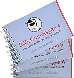 BWL-Grundlagen 4-6. 300 Lernkarten zur Güterw