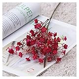 XIAOXUANMY Künstliche Blumen Retro 50 cm künstliche Blume Herbst Gypsophila Home Decoration Foto Requisiten DIY Hochzeitsfest Floral Vereinbarungen (Color : Red)