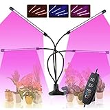 CXhome 80W LED Pflanzenlampe mit 3/6/12H Cycle Timer Pflanzenlicht 3 Modes 360° Adjustable Schwanenhals & Schreibtischclip Led Grow Lampe 10 Brightness fur Pflanzen Wachstum im Gew