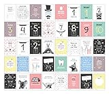40 Baby Meilenstein-Karten für das 1. Lebensjahr für Mädchen und Junge. Baby Milestone Cards deutsch, zur Erinnerung der Entwicklung der ersten ... Geburt, Schwangerschaft, Taufe oder Baby Show