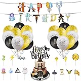 XiYee Magischer Zauberer Geburtstag Party Supplies Set, Alles Gute zum Geburtstag Banner, 49 Stück Set, Luftballons,Aufkleber,Tortenaufleger,Cupcake Toppers Party Dek