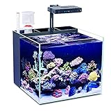 DUTUI Quadratisches Stilles Aquarium Ohne Wasserwechsel, Desktop-Aquarium Im Wohnzimmer Zu Hause, Ökologisches L