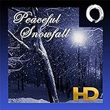 Peaceful Snowfall HD