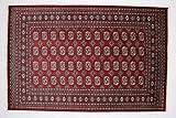 Pakistan Buchara Teppich Handgeknüpft 160x240 Rot Orientalisch W