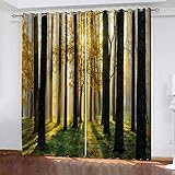 XDJQZX Verdunkelungsvorhänge für Schlafzimmer und Wohnzimmer, 3D-Herbstwald-Landschaft, bedruckt, wärmeisoliert, mit Ösen, Fenstervorhänge für Kinderzimmer, 200 x 150 cm, für Jungen und M