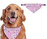 Shengruili Halstuch Hund,Haustier Bandanas,Hunde Halstücher,Haustier Dreieck Lätzchen,Haustier Halstuch,Hundehalstuch mit Namen,Haustier Kopftuch,Hundehalstücher,Hunde Bandana,Bandana H