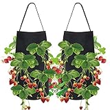 ASY 2 Stücke Strawberry Grow Bags Pflanztaschen Hängen Erdbeerpflanzer Fühlte Nackte Wurzelanlagen Pflanztaschen Mit 11 Löchern Atmungsaktive Riemen Griffe C