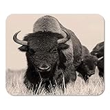 Mousepad Computer Notepad Büro Amerikanischer Bison Buffalo in Sepia Die Herde des Schusses Home School Game Player Computerarb