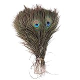 Aahkloijw 10 Stück Natürliche Pfauenfedern 25-30 cm Schöne Pfauenschwanzfedern mit Auge Echt Federn zum Basteln Pfau Deko Hochzeit Party Heimdekoration Kostümparty Natural Peacock F