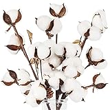 HAKACC Baumwolle Deko, 3 Stück Natürlich Getrocknete Baumwolle mit Baumwollschale und KiefernzapfenTrockenblumen Deko DIY Dekoration Home Party