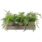 Kunstpflanze 3 Stücke Künstliche Pflanze im Topf, Boston Farn Pflanzen Indoor und Outdoor Grünes Gras, Deko Wohnzimmer Balkon Schlafzimmer Badezimmer Zimmer Tischdek