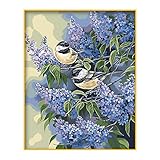 JISHSHAY Malen Nach Zahlen für Erwachsene Kinder Vögel Blumen DIY Paint by Numbers Kits für Geschenk oder Home Haus Deko 16 x 20 Zoll Ohne R