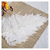 JIAN 10pcs / Lot Konservierte Fiddelkopf Farne Eternelle Blume Blätter Getrocknete Arachnioden Hochzeitsdekoration Wohnkultur Pampas Gras Mariag Exquisite (Color : Green, Size : 10PCS)