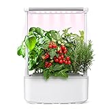 Kwasyo Hydroponisches Anzuchtsystem, Indoor Gardening Kit mit 3-Modus LED Pflanzenlampe, Intelligenter Gartenpflanzer mit Timer & Wasserstands-warnboje & Vermiculit, Für Hause Küche,Gartenp