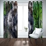 Vorhang Blickdicht Vorhang für Schlafzimmer Tierwolffoto Thermogardinen Gardinen 234x137 cm (B x H)