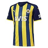 Fenerbahçe 2021-2022 Heimtrik