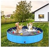 Extra großes Haustierpool, rutschfeste UV-Beweis PVC Faltbarer Planschbecken mit Frisbees Bath Pool für Hunde, Katzen, Kinder, Verdickung dauerhafter tragbarer Hundepool für Innen- oder Außenbereich W