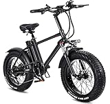 20 Zoll Elektrofahrrad E Bike, 48V 15A Abnehmbarer Lithium Akku, Pedelec Citybike Herren Damen, Shimano 7 Gäng