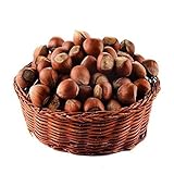 Haselnüsse in der Schale (3 KG) |Haselnuss /in Schale/Vegan /natürlich / Unbehandelt / Hohe Qualität / Gesund und Günstig Haselnuss mit S