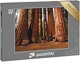puzzleYOU: Puzzle 48 Teile „Unter Giganten wandeln“