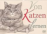 Von Katzen lernen (Wandkalender 2022 DIN A2 quer)