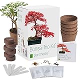 Plant Theatre Bonsai Baum Kit - 3 Baum-Starterset mit Bonsai Samen, Torfblöcken, Töpfen und Markern - Gartengeschenke für Männer und F
