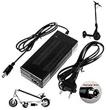 CARGADOR ESP Ladegerät Aktuelle 42V 1.5A 2A kompatibel mit ersatz für Shenzhen hyleton Technology Co Ltd Power Supply HLT-180-4201500 mit stecker mit zentralem Pin (PIN in der Mitte) Ersetzt N