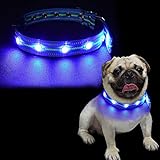 LKJYBG LED Leuchthalsband Hund,Leuchtend Halsband USB Wiederaufladbar Wasserdicht, DREI Beleuchtungsmodi, geeignet für große, mittlere und kleine Hunde Blau M