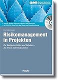 Risikomanagement in Projekten: Die häufigsten Fallen und Gefahren - die besten Sofortmaß