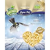 Lyra Pet® 25 kg Erdnusskerne weiß gehackt HK Asien Ganzjahresfutter Körner Erdnussbruch Erdnüsse Vogelfutter Wildvog