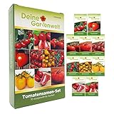 Tomatensamen Set - 10 Sorten Samen - Saatgut Sortiment - Anzuchtset für Tomatenpflanzen - Geschenkset - Stabtomaten Balkontomaten F