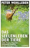 Das Seelenleben der Tiere: Liebe, Trauer, Mitgefühl - erstaunliche Einblicke in eine verborgene W