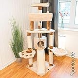 bontoy Kratzbaum Lou Creme/Braun 145 cm mit großer Liegewanne 46cm und viel Platz zum Toben und S