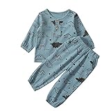 KameyouForever Kinder-Pyjama-Set mit Dinosaurier-Motiv, langärmliges Oberteil + elastische Hose, 2-teiliges Nachthemd, Outfits für kleine Jungen, blau, 104