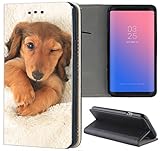 Samsung Galaxy S3 / S3 Neo Hülle Premium Smart Einseitig Flipcover Hülle Samsung S3 Neo Flip Case Handyhülle Samsung S3 Motiv (1329 Dackel Welpe Hund Hundebaby Tier)