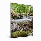 Premium Textil-Leinwand 60 x 90 cm Hoch-Format Harz | Wandbild, HD-Bild auf Keilrahmen, Fertigbild auf hochwertigem Vlies, Leinwanddruck von Michael Weiß