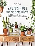 Saubere Luft mit Zimmerpflanzen: Die 50 besten Detox-Pflanzen für ein gesundes Raumklima. Basiert auf der NASA 'Clean Air Study'