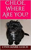 Chloe, Where Are You? (Lynn's Girls Books Book 2) (English Edition)