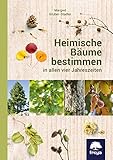 Heimische Bäume bestimmen: in allen vier J