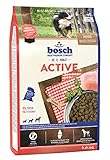 bosch HPC Active | Hundetrockenfutter für ausgewachsene Hunde aller Rassen mit gesteigerter Aktivität | 1 x 3 kg